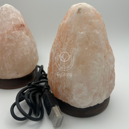 Salzlampe "Felsen" mit Holzsockel